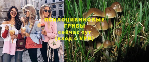 крисы Белоозёрский